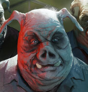 Pigman Hybrid