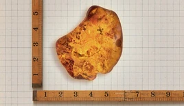 Thirteenth Doctor's earring