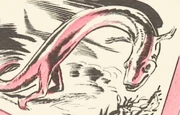 A sea creature, mutated by an , evolves rapidly in preparation for an invasion of land