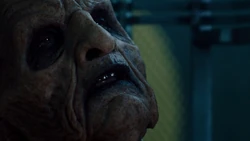 "Pity… I had hoped to the see sun one last time…"