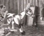 Muffin the Mule FG