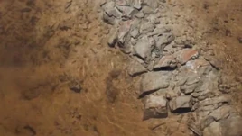 Water of flesh-eating microbes