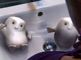 Adipose