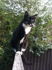 The photograph that provided the basis for the cover of the book