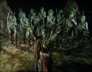 Swampie dance