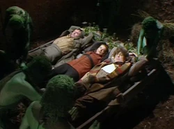 The ,  and  are punished under the seventh holy ritual