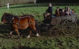 Mondasian horse carriage