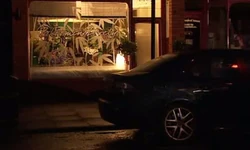 Bloomin' Lovely at night