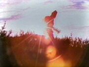 A Silurian comes above ground, the first in thousands of years.