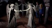 Weeping angels trapped