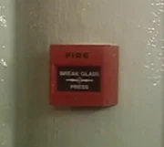 Fire alarm (Rose)