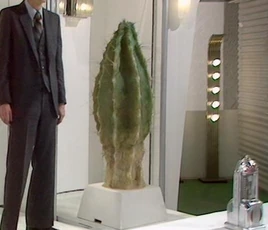 Meglos the plant