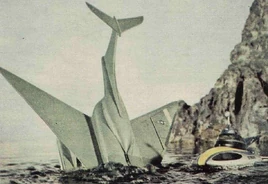 Stingray Downs W.A.F. Bomber