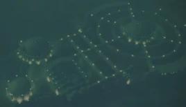 Underwater base with ghosts