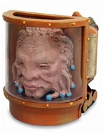 DWFC Face of Boe