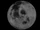 The Moon