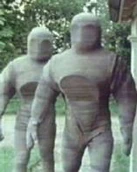 Osiran Service Robots