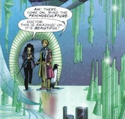 An example of psycho-sculpture