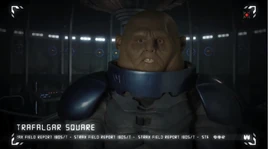 Strax Field Report Trafalgar Square