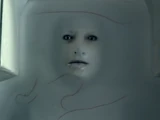 The Flesh