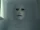 The Flesh