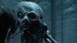 The Crooked Man