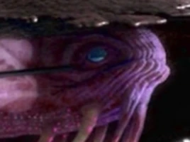 Star Whale The Beast Below