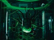 A cloned Dalek mutant