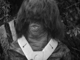 Monoid