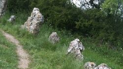 TheRollrightStones