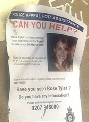 Rose missing poster
