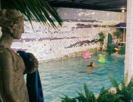 TARDIS swimming pool