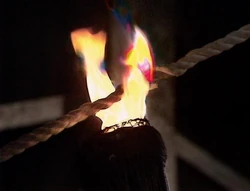 Fire was used to burn  as a part of a  