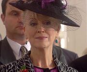 Mary at the wedding