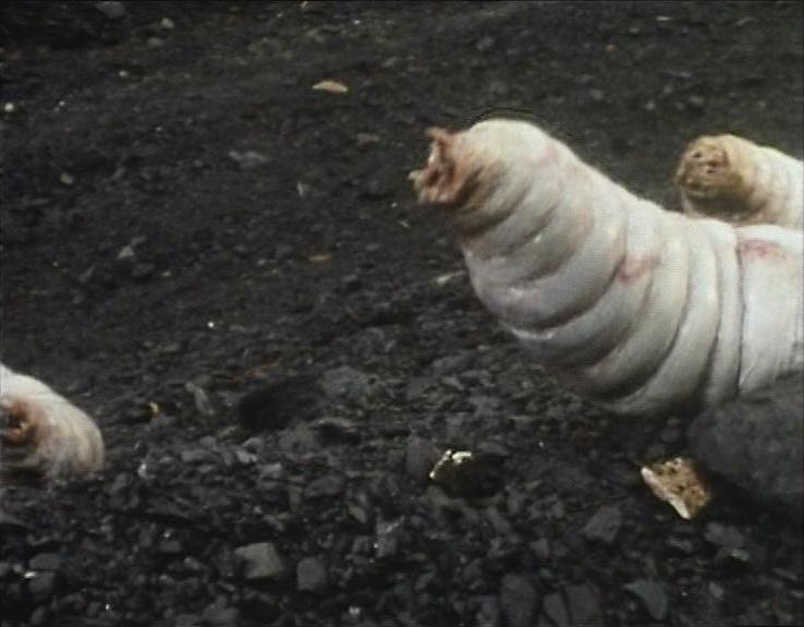 Giant maggot, Tardis