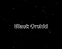 Black Orchid