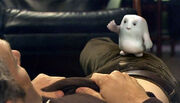 Adipose1