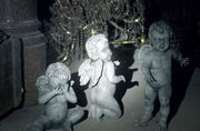 Infant Angels