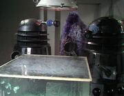 The  experiments