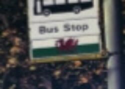 Bus stop Gooseberry