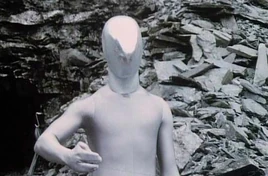 Raston Warrior Robot