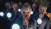 Beast ood