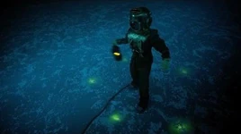 Something Under The Ice..