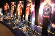 Examples of 2005-2011 companion costumes