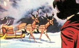 Reindeer