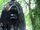 In the Forest of the Night (DWE episode)