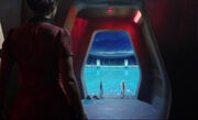 TARDIS swimming pool Journey