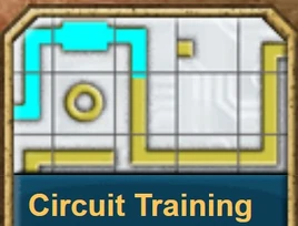 Circuit Training2