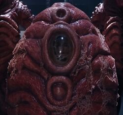 Zygon Pod