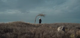 73YardsTheWomanByTree